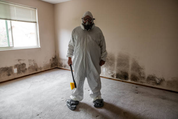 Best Black Mold Remediation in Dunwoody, GA